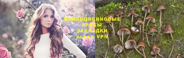 прущая мука Богородск