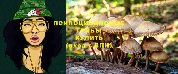 не бодяженный Бородино