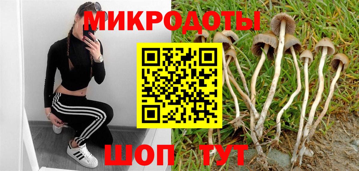 Галлюциногенные грибы ЛСД  Вход с VPN  Верхняя Пышма  Псилоцибиновые грибы Psilocybine cubensis 