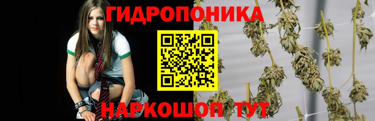 МАРИХУАНА SATIVA & INDICA Верхняя Пышма